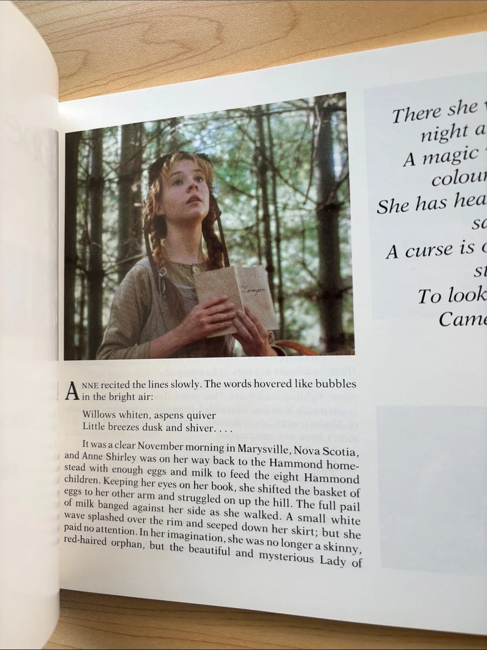 Firefly Book classic anne